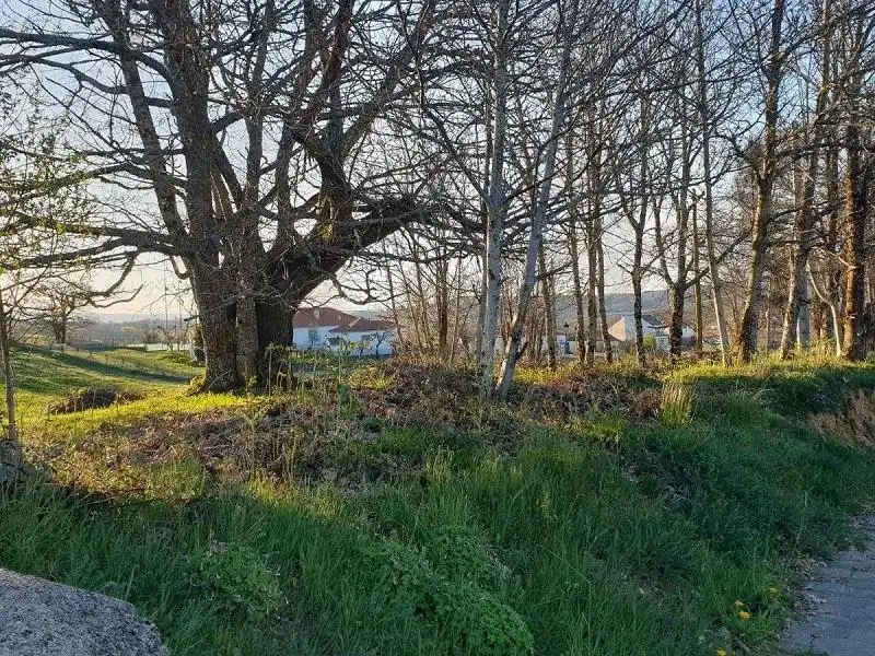 Residential for sale in Riós