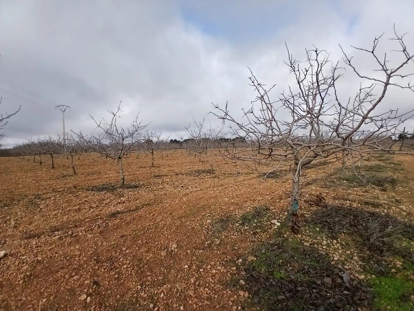 Rural land for sale in Carretera Solana, imagen 31
