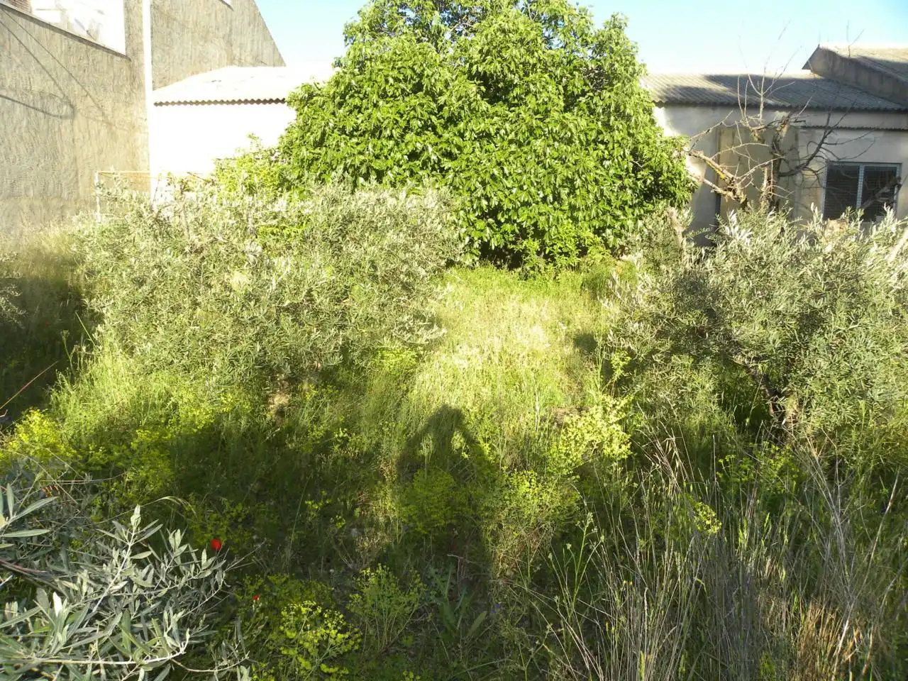 Industriegebäude zum Verkauf in Caravaca de la Cruz, imagen 17