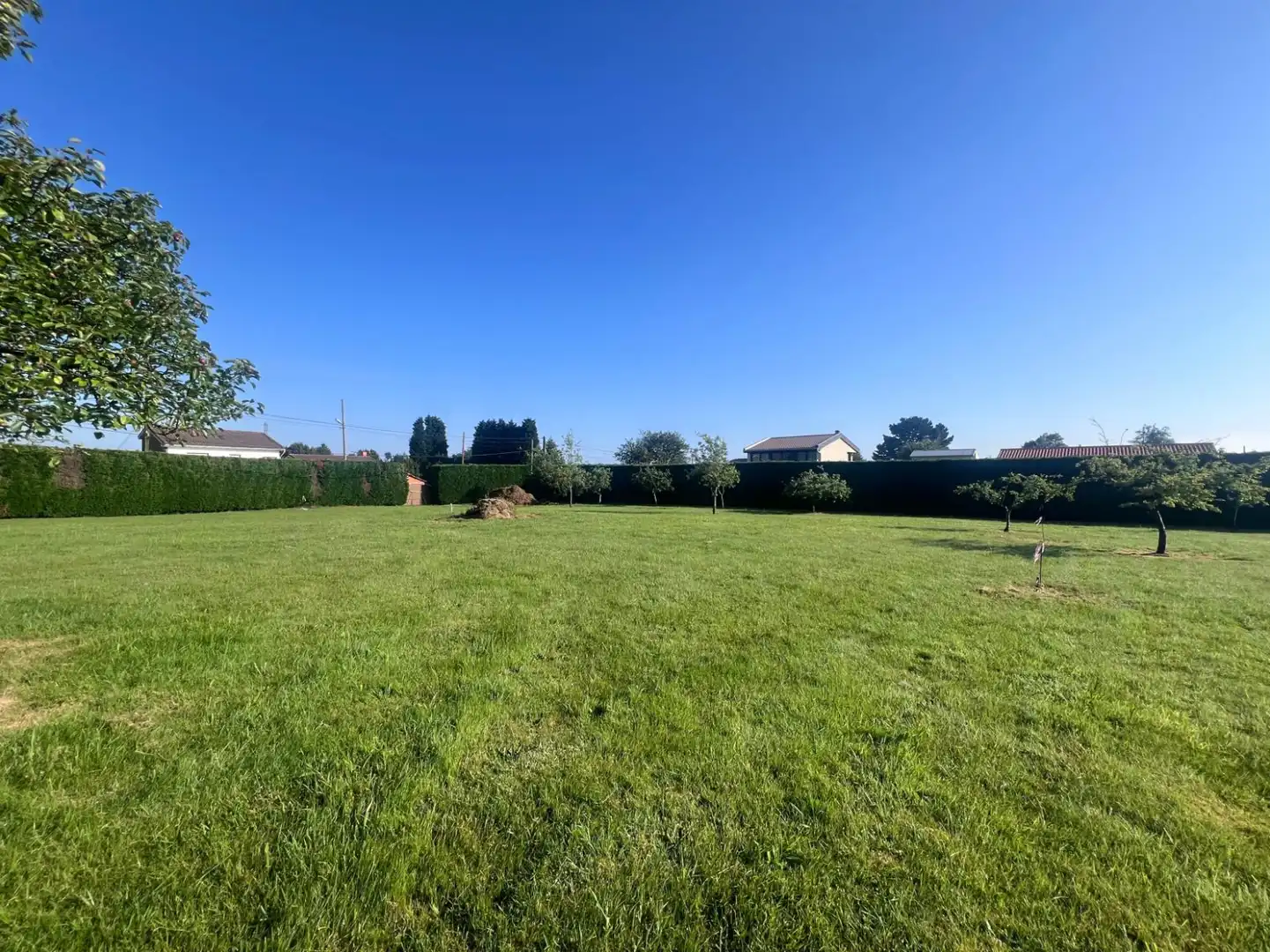Residential land for sale in LG REBORIO 115, imagen 7