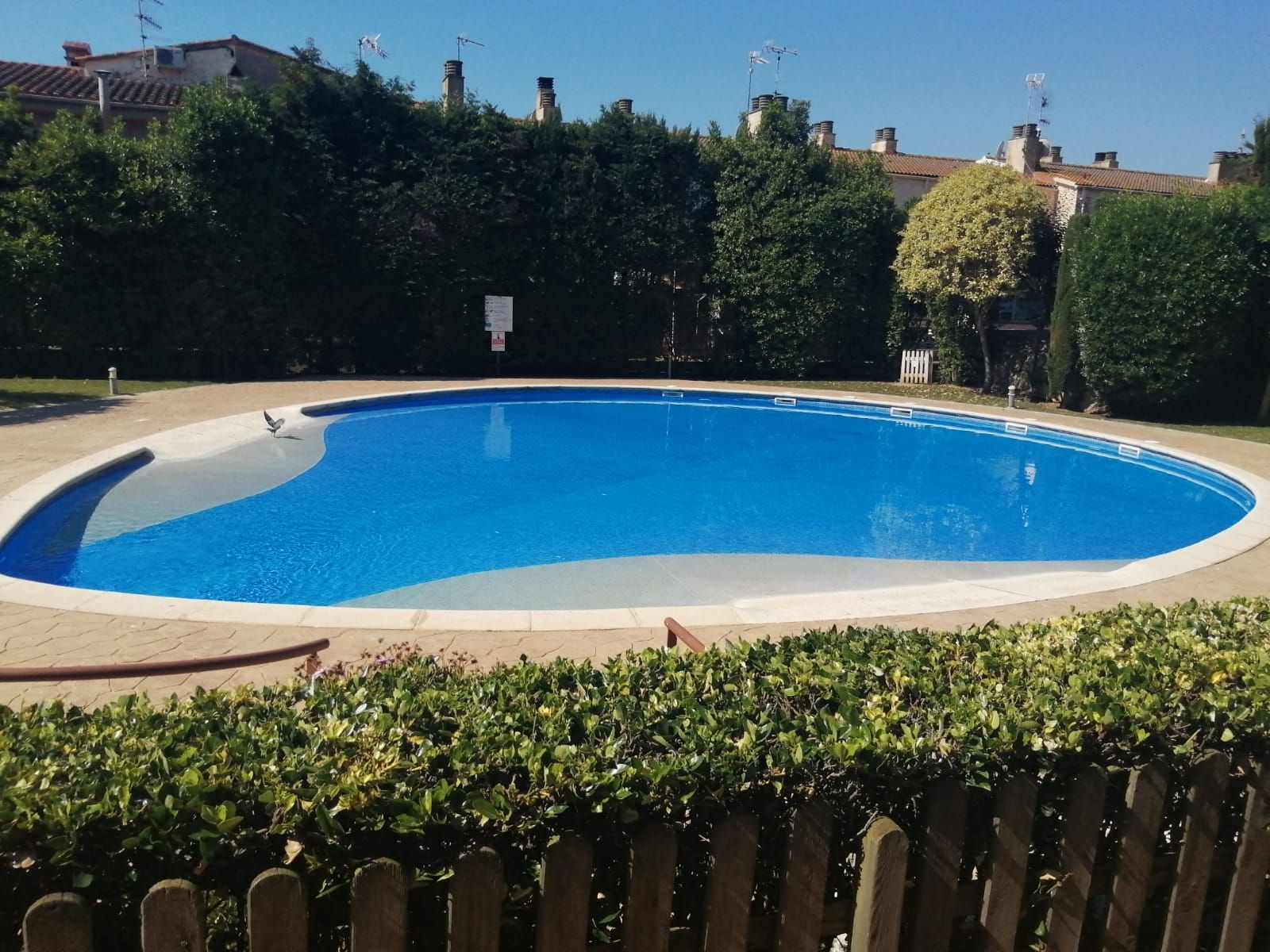 Piscina de Planta baixa de lloguer en Palamós amb Terrassa, Moblat i Es permeten mascotes