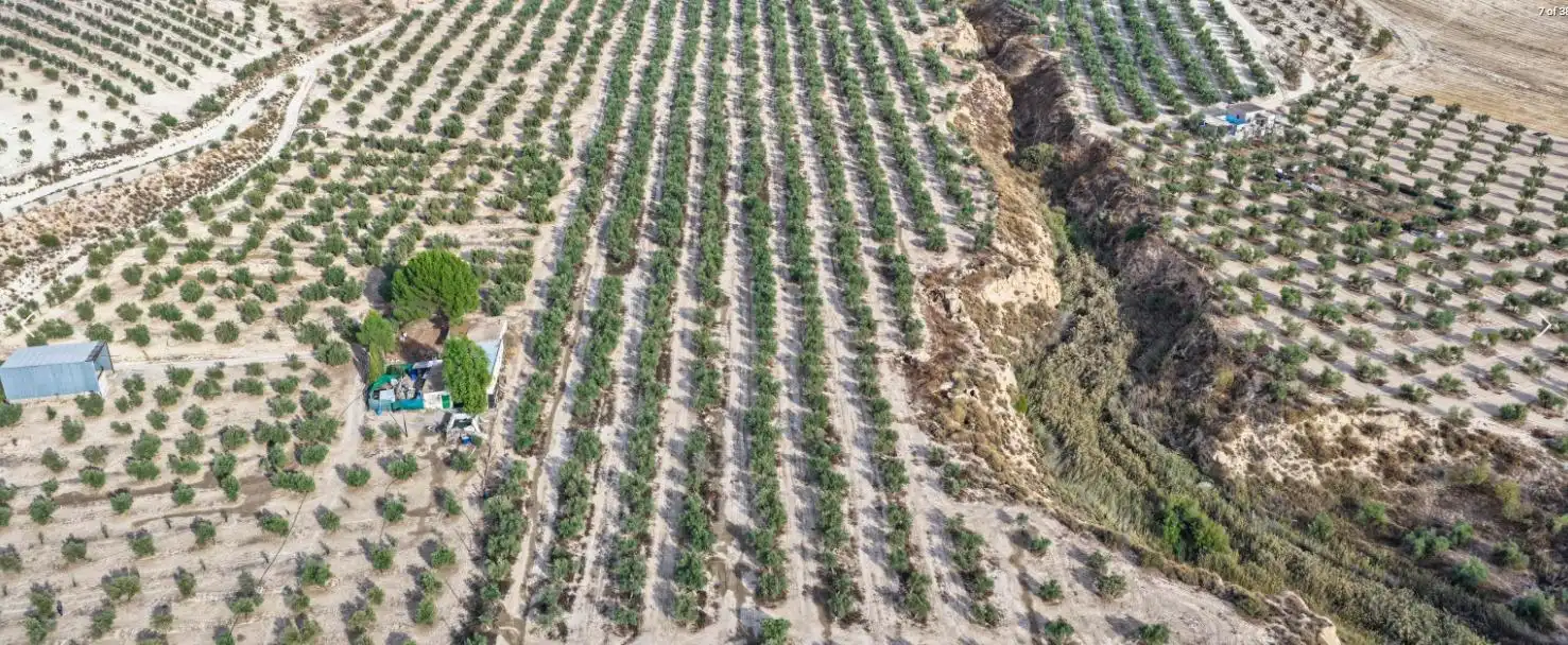 Vista exterior de Finca rústica en venta en La Malahá