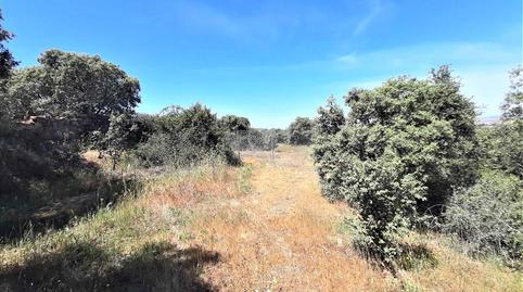 Foto 3 de Residencial en venda a Maria Antonia Fuertes, 2a, -1, Campus Universitario, Cáceres