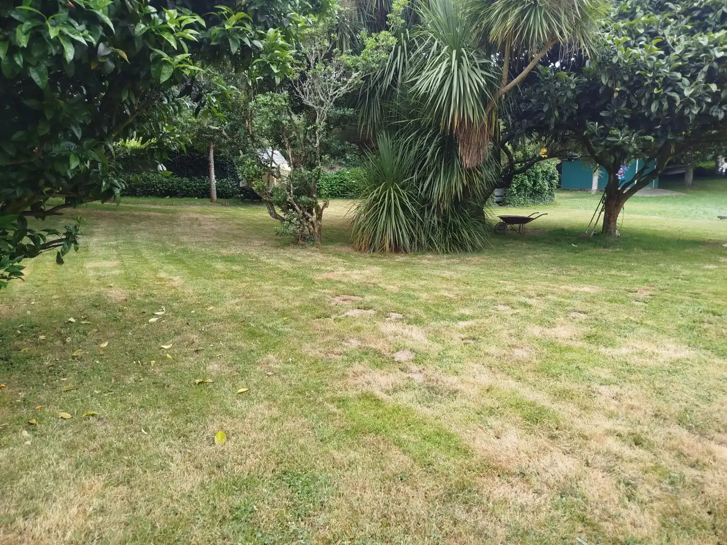 Terrenys i solars en venda a Bergondo, imagen 3