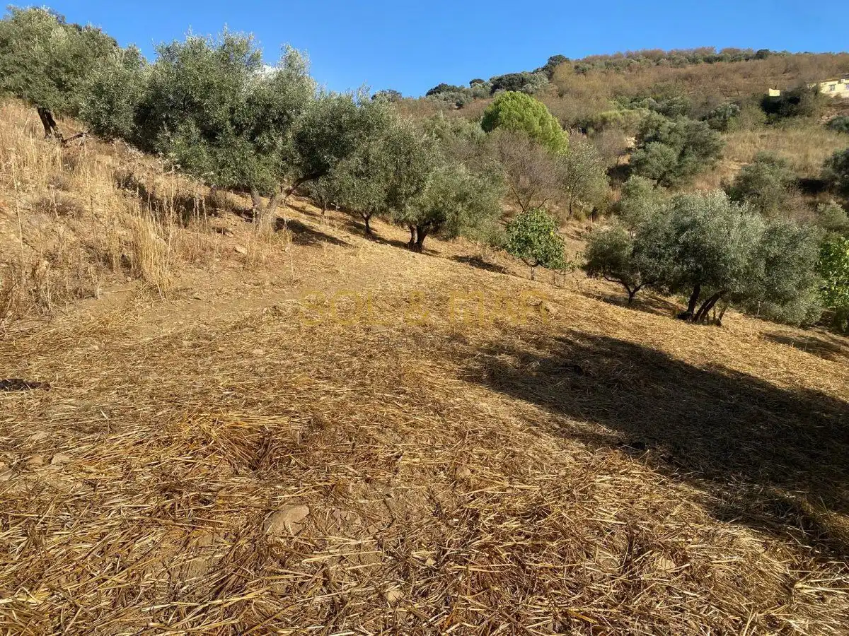 Finca rústica en venda en Antequera
