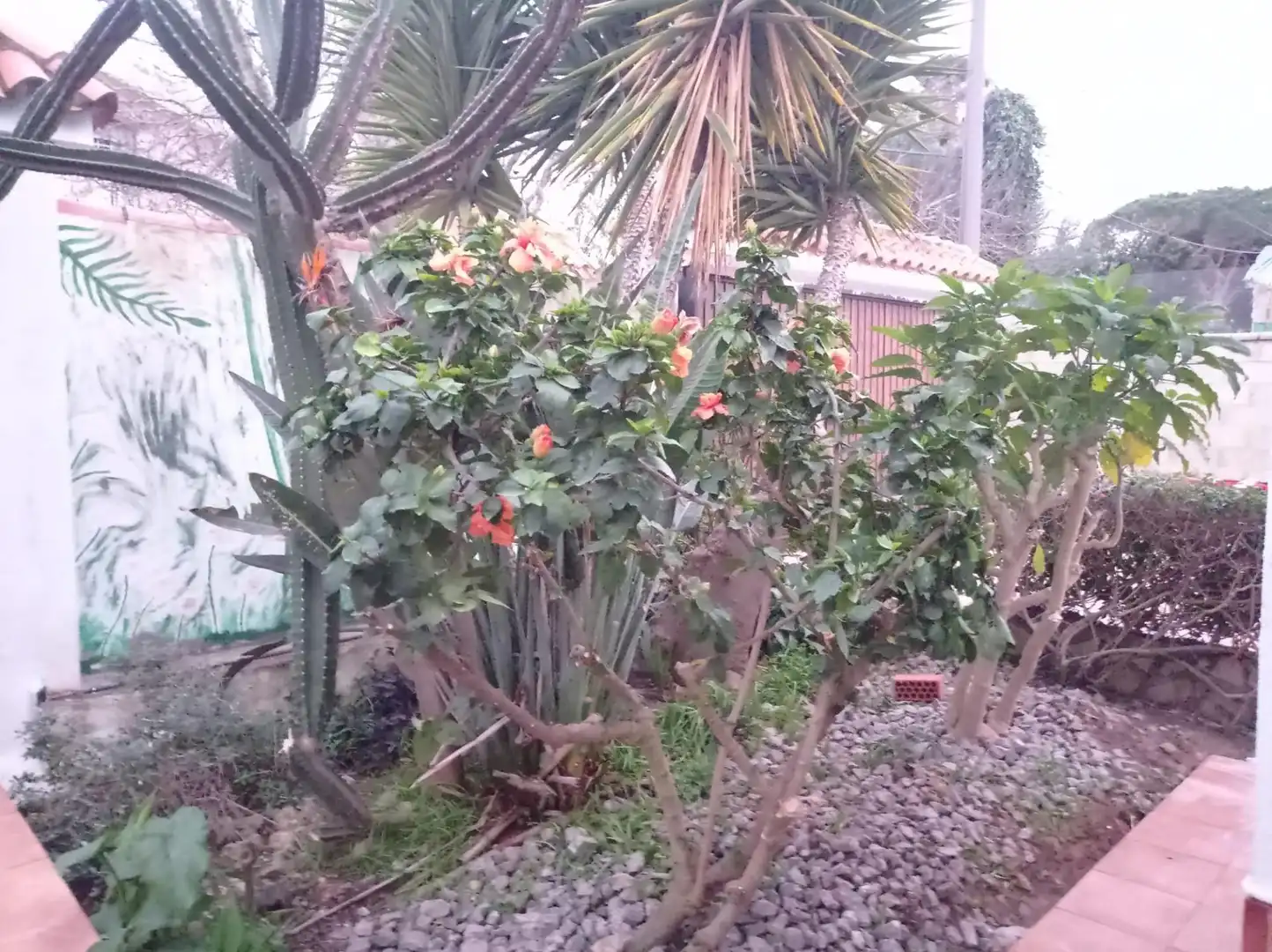 Chalet con piscina en venta en Camino C DEL QUEJIGO 2, imagen 4
