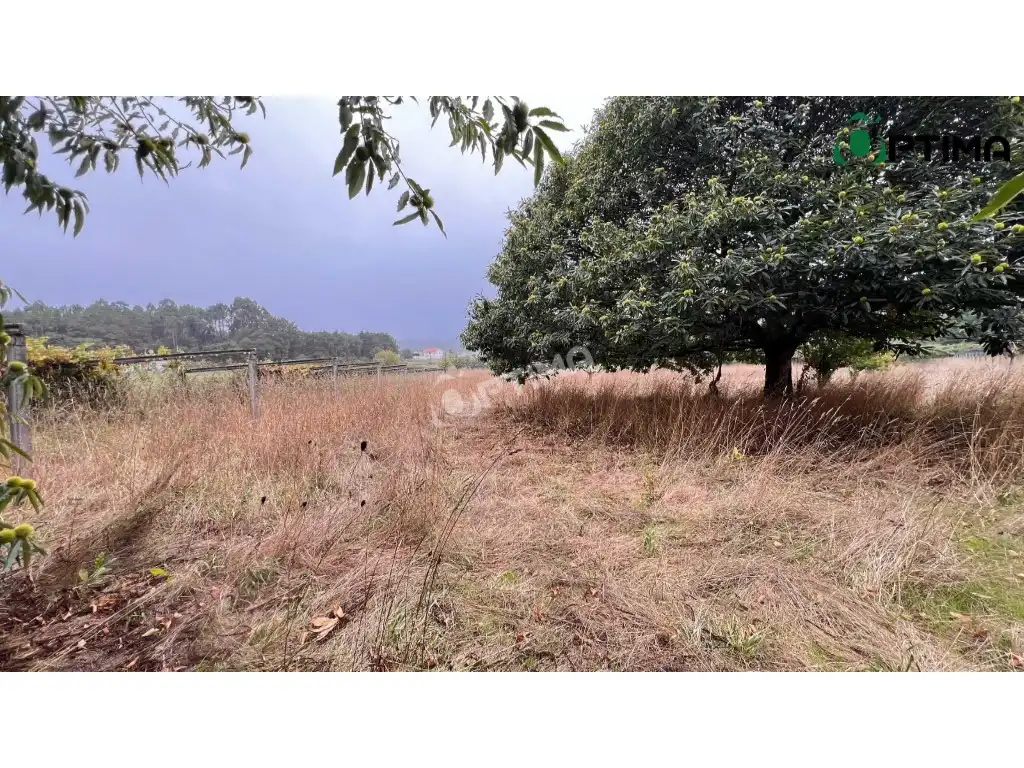 Rural land for sale in A Estrada, imagen 3