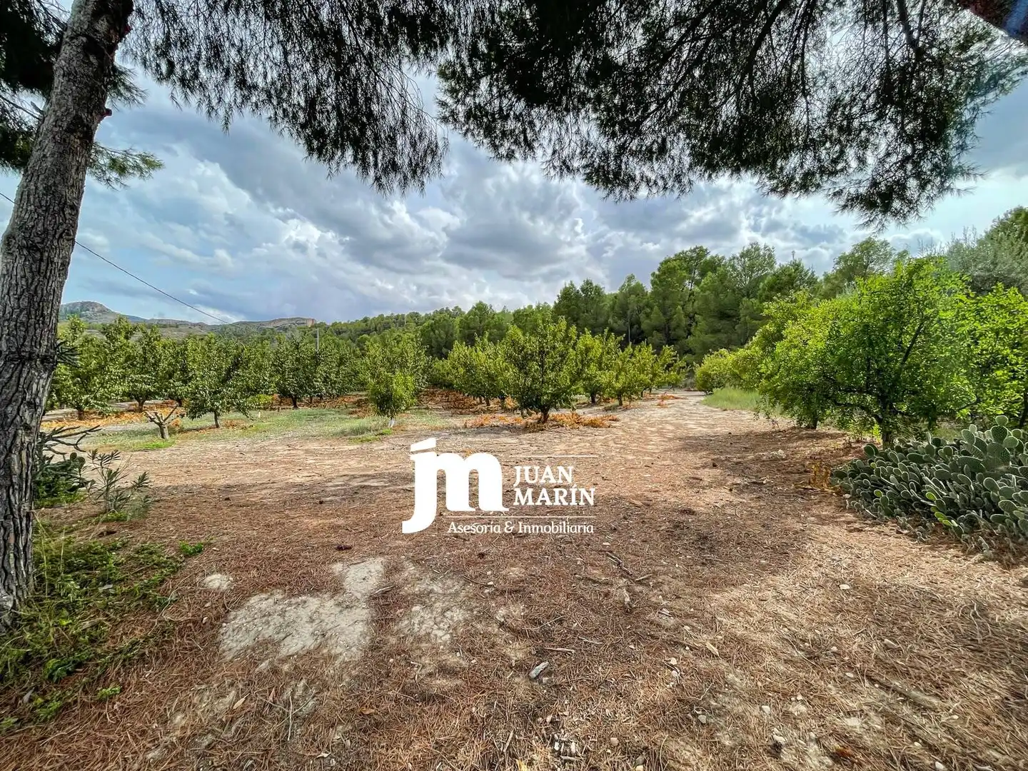 Casa rústica amb piscina en venda a Cieza, imagen 14