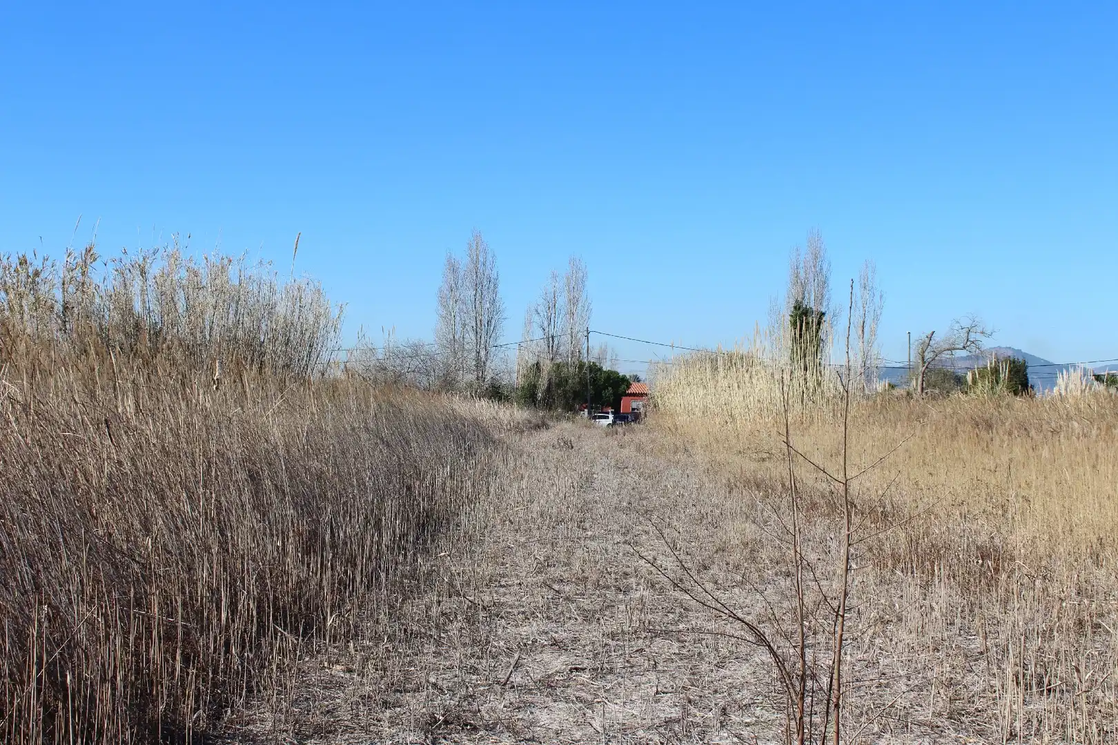 Terrenys i solars en venda a El Grao, imagen 10