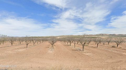 V14372 FINCA DE ALMANDROS OPCIÓN VIVIENDA., immagine 3