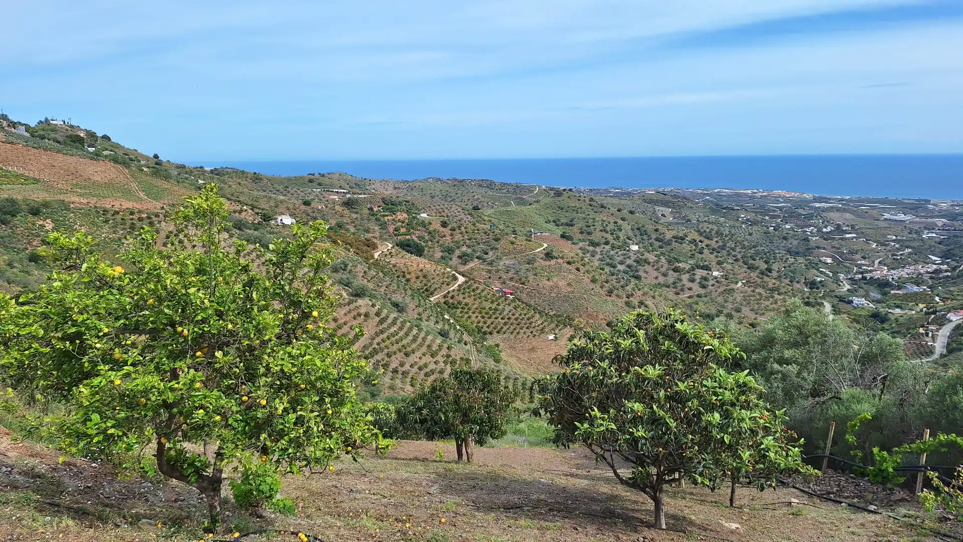Country house zur Miete in Vélez-Málaga mit Privatgarten, Terrasse und Schwimmbad