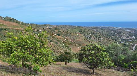 Foto 5 de Finca rústica de lloguer a Camino Viejo de Málaga, Málaga