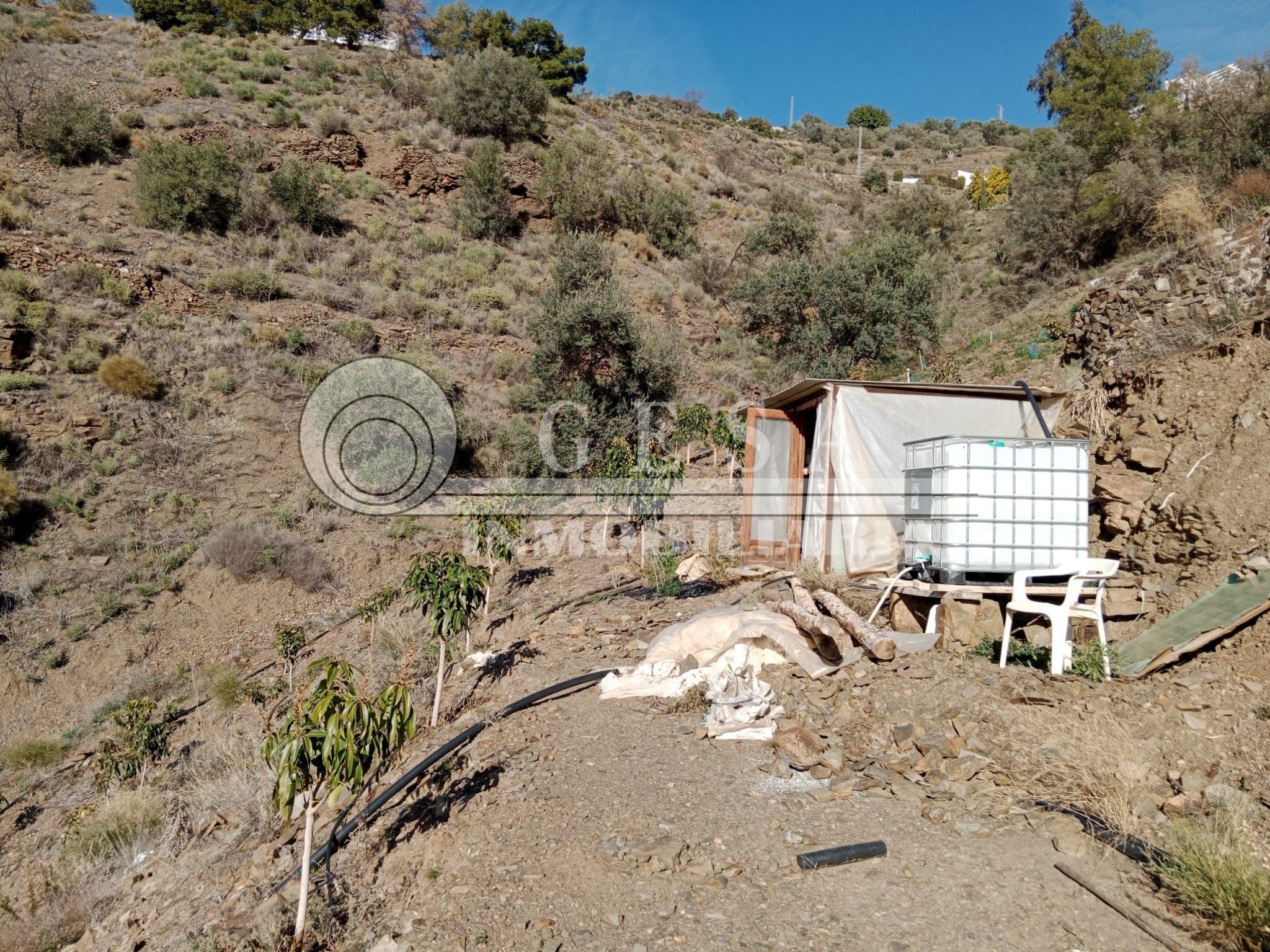 Garden of Residential for sale in Vélez-Málaga