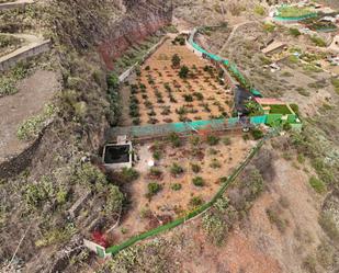 Finca rústica en venda en Santa María de Guía de Gran Canaria amb Jardí privat, Terrassa i Traster