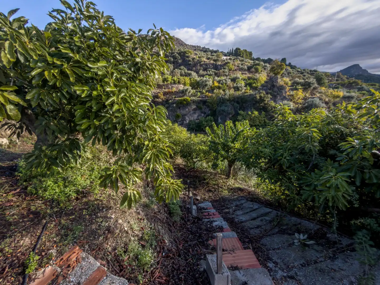 Jardí de Finca rústica en venda en Los Guájares amb Terrassa i Traster