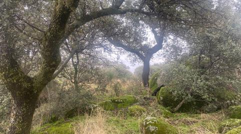 Foto 2 de Terreny en venda a La Estrella, Toledo