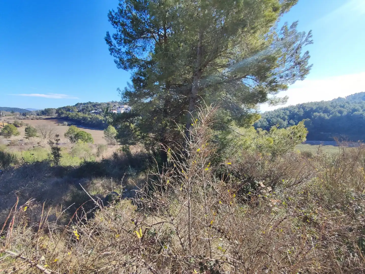 Terreny residencial en venda a Carrer Dalt, imagen 4