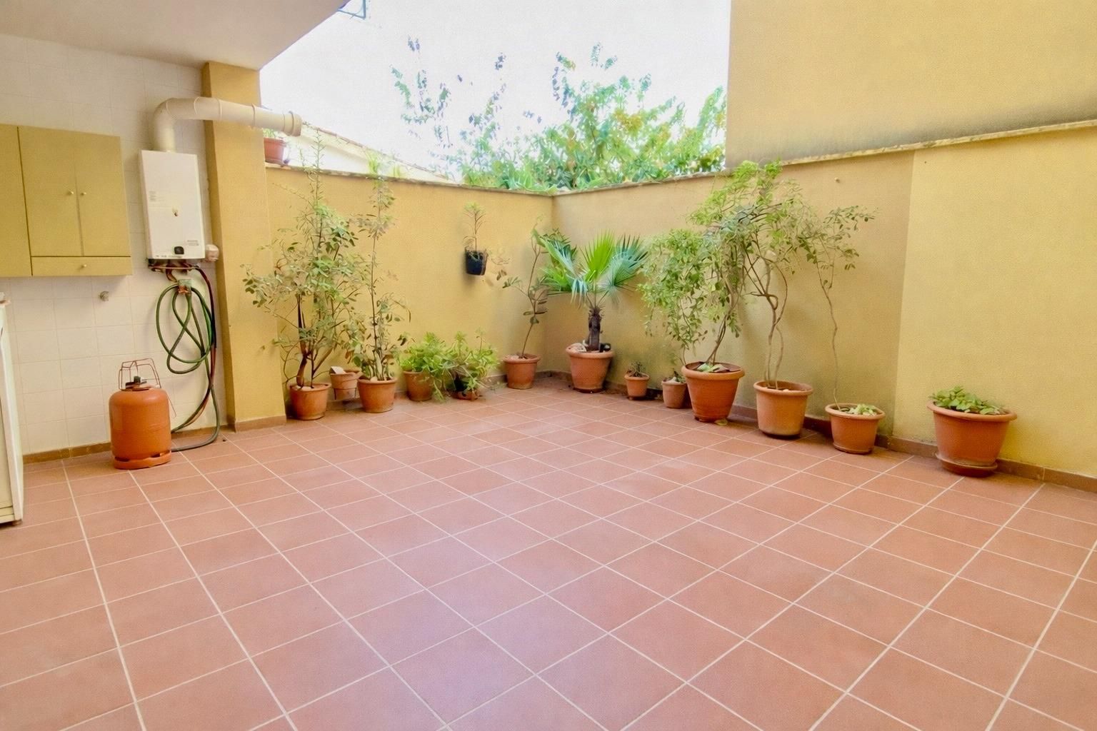 Planta baja to rent in Carrer Germanies, 10