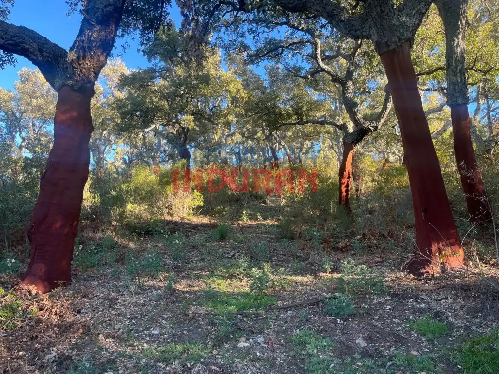 Country house for sale in Plaza De España, imagen 6