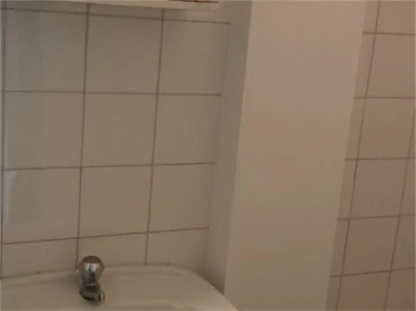 Bathroom of Commercial properties for sale in Noia