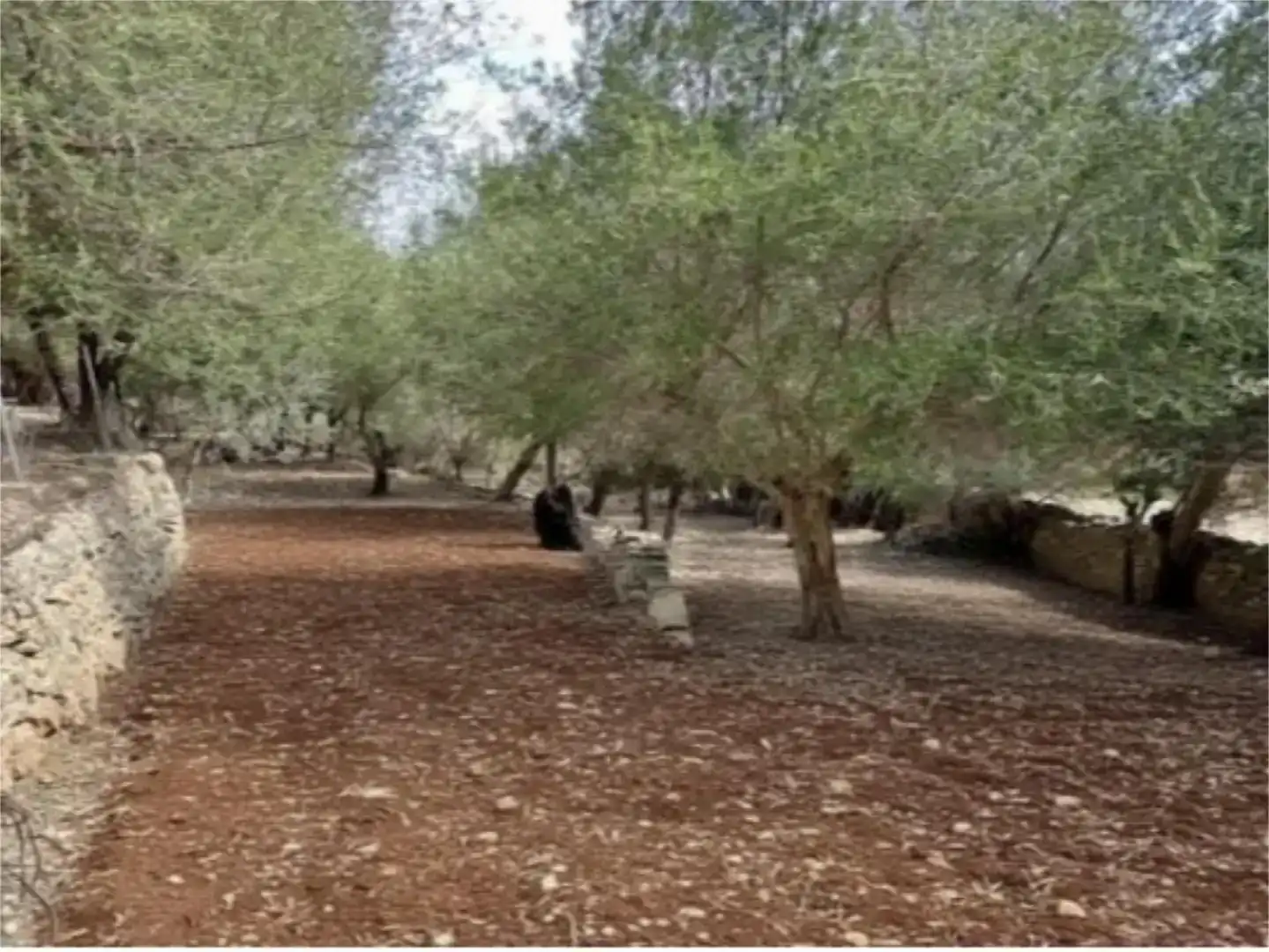 Piso en venta en Campanet con Jardín privado, Trastero y Piscina
