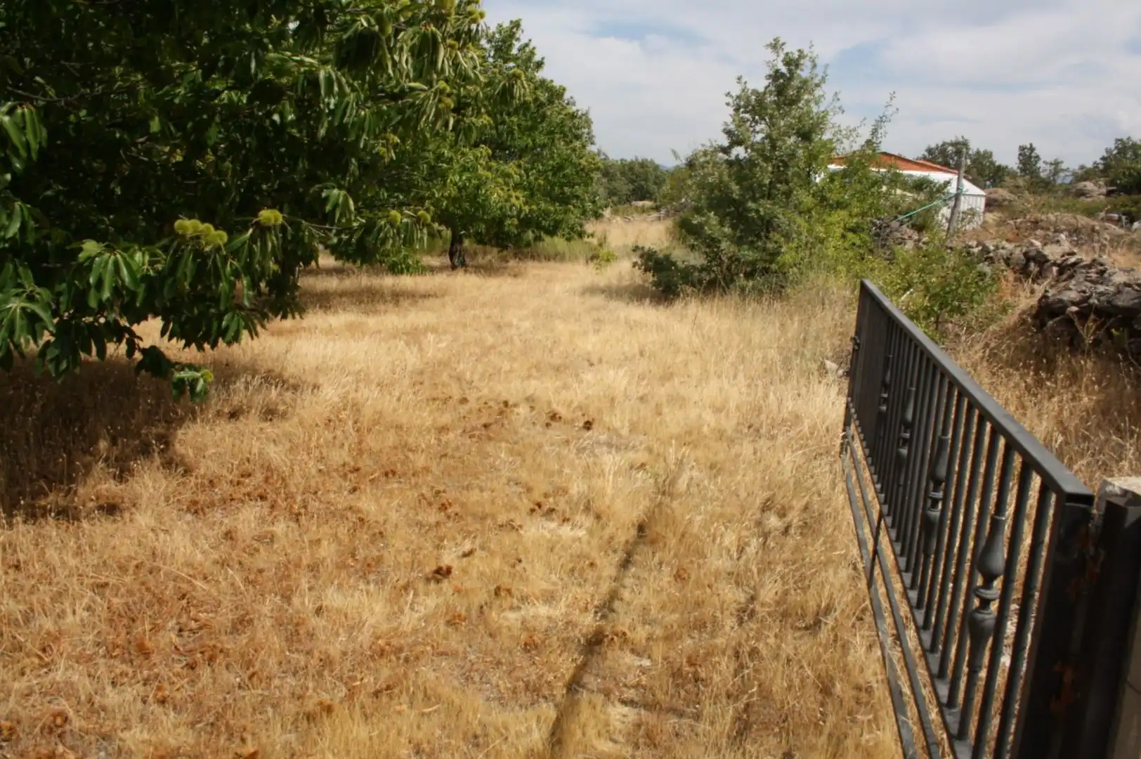 Terreno industrial en venta en Piornal