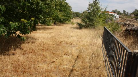 Photo 2 of Industrial land for sale in Carretera Valdastillas-piornal, 12a, Piornal, Cáceres