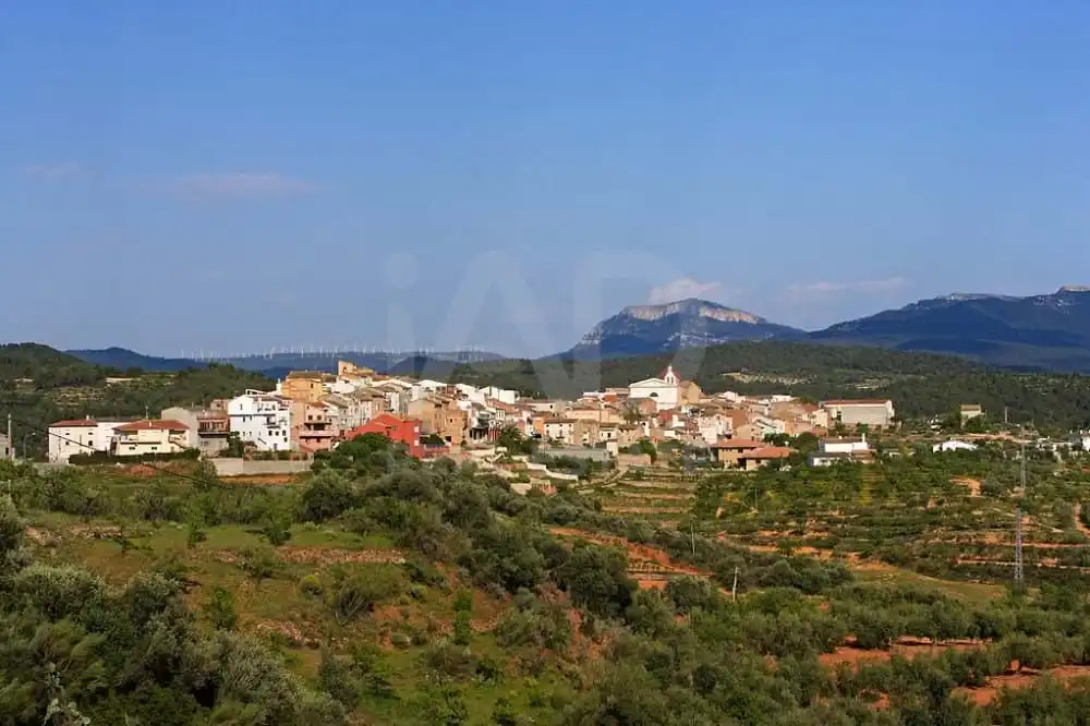 Vista exterior de Residencial en venta en Els Guiamets