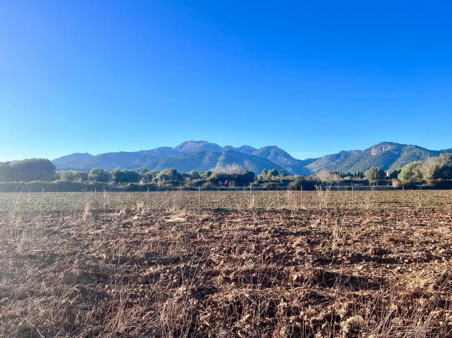 Casa rústica en venta en Campanet, imagen 2