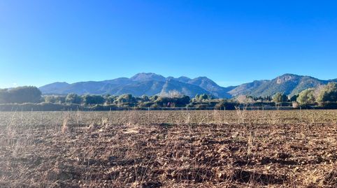 Foto 2 de Finca rústica en venta en Campanet, Illes Balears