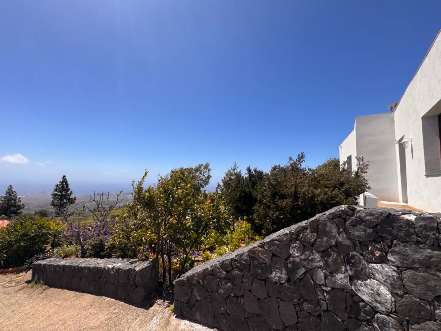 Vista exterior de Finca rústica en venta en Granadilla de Abona con Calefacción, Jardín privado y Parquet