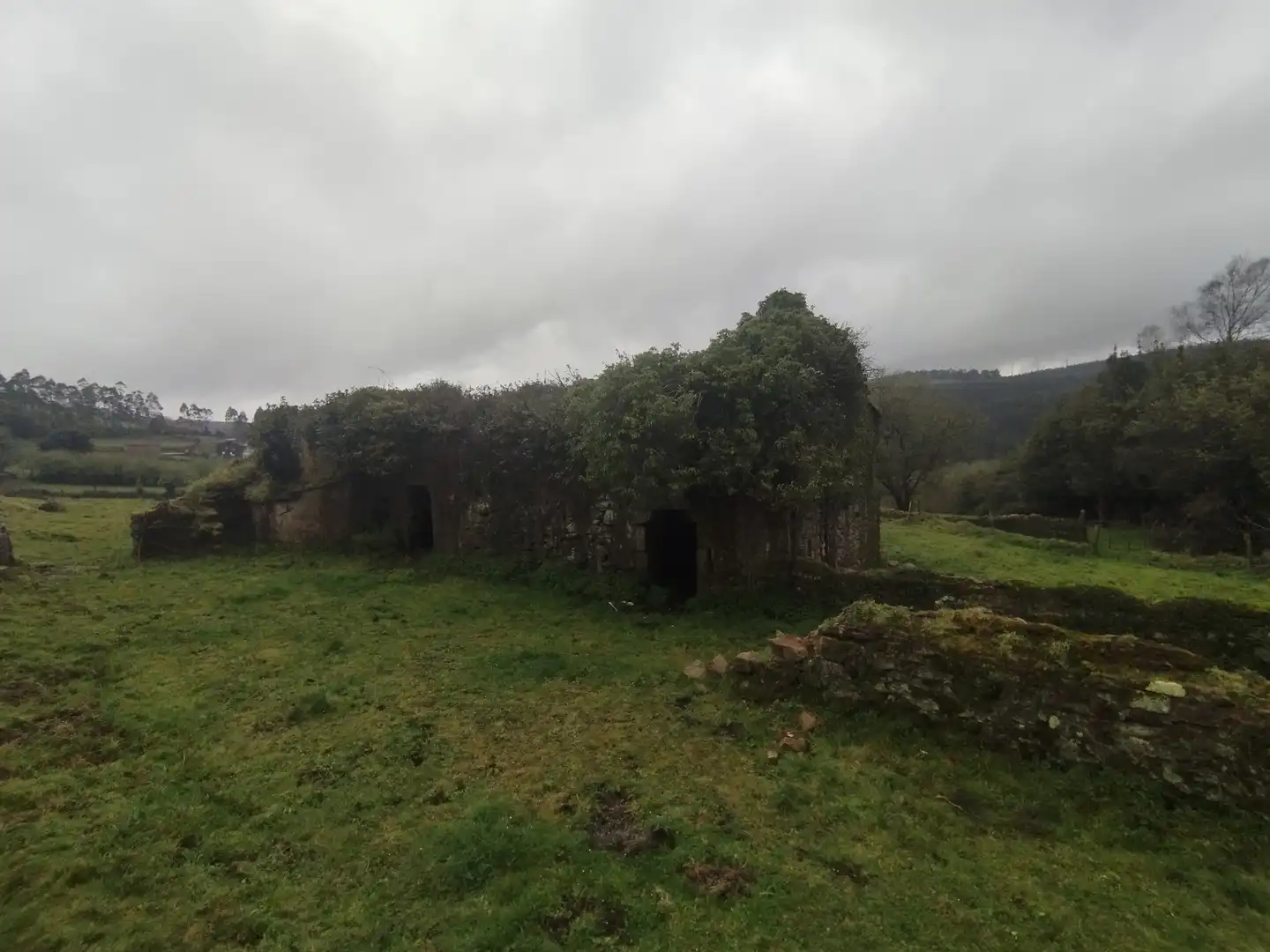 Vista exterior de Casa o chalet en venta en Viveiro