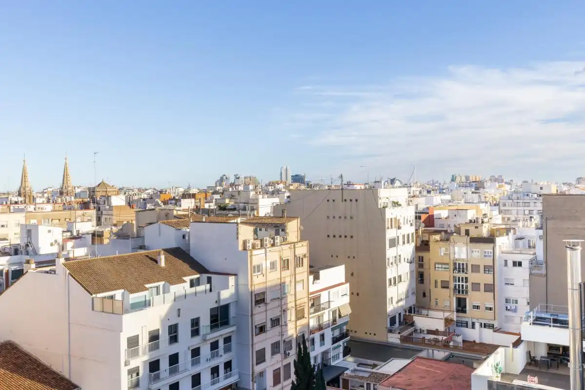 Ático de alquiler en Carrer de Pizarro, El Pla del Remei