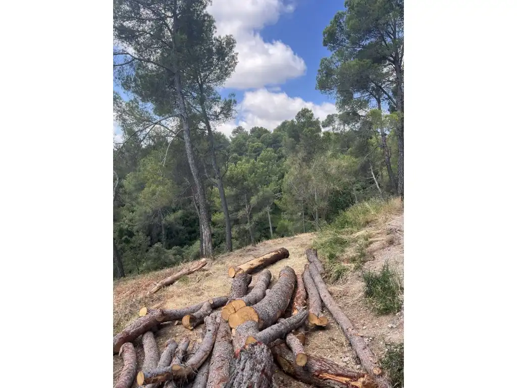 Residential land for sale in Viladecavalls, imagen 7