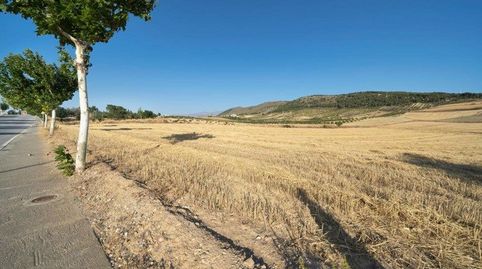 FINCA RÚSTICA EN DÍLAR, immagine 4