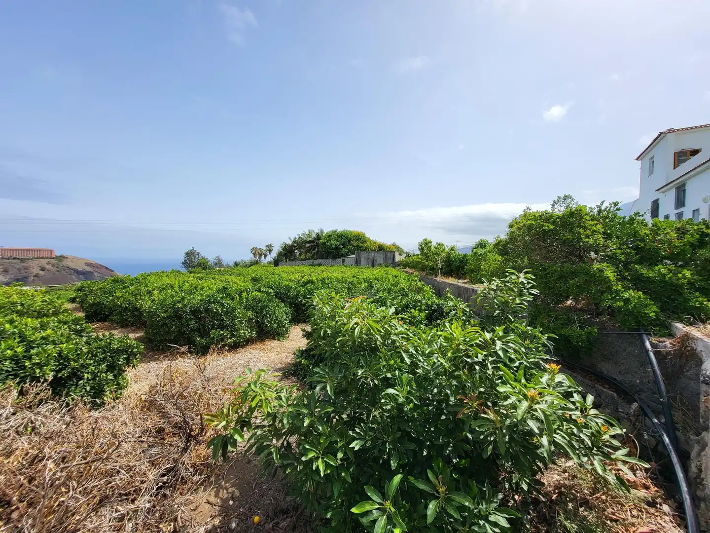 Country homes for sale in La Orotava  with Terrace