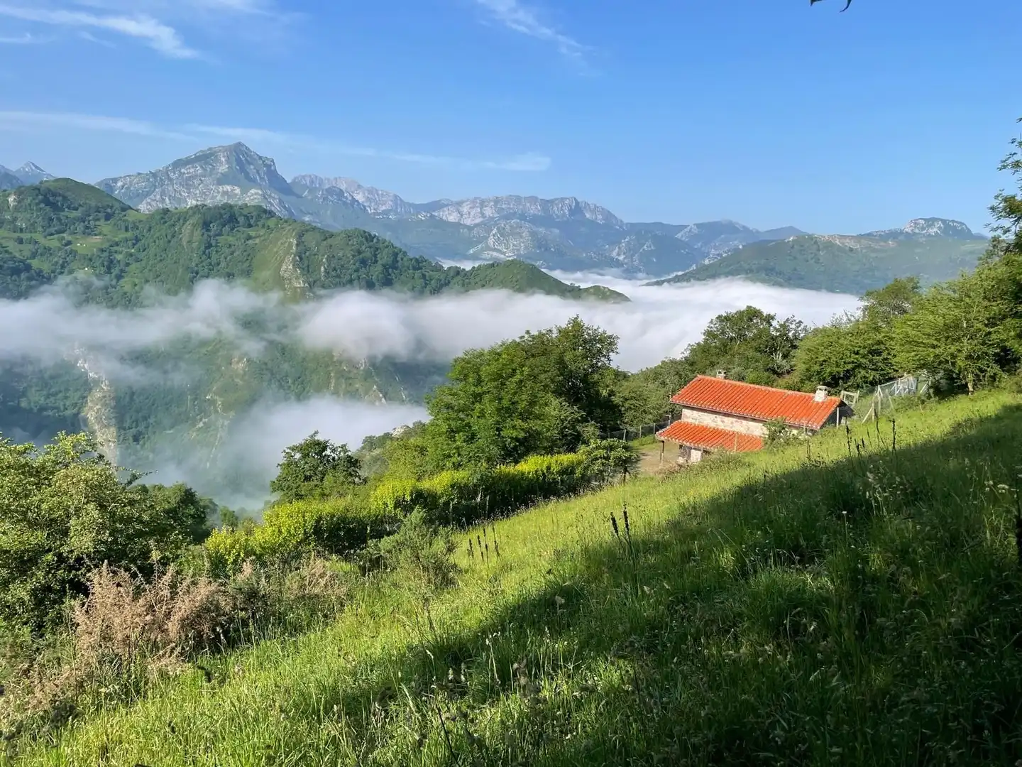 Exterior view of Land for sale in Cangas de Onís