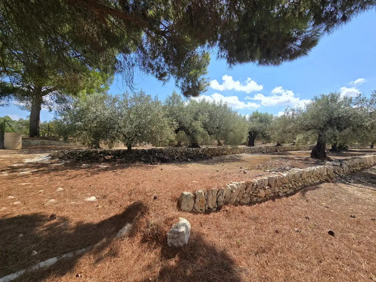 Finca rústica en venta en Freginals con Jardín privado