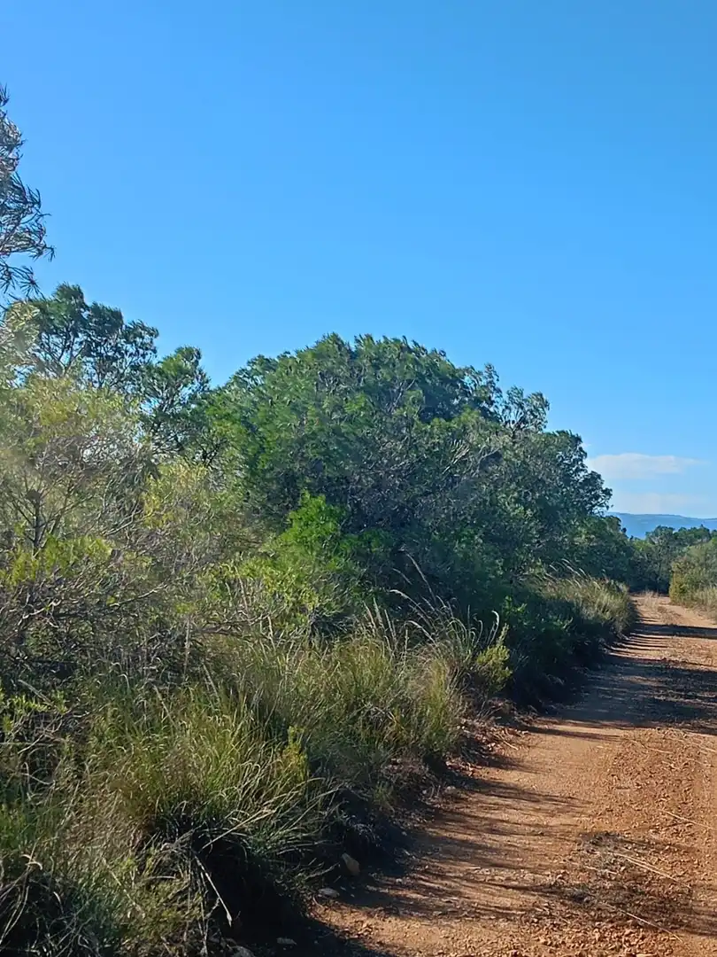 Grundstücke zum Verkauf in Lorca