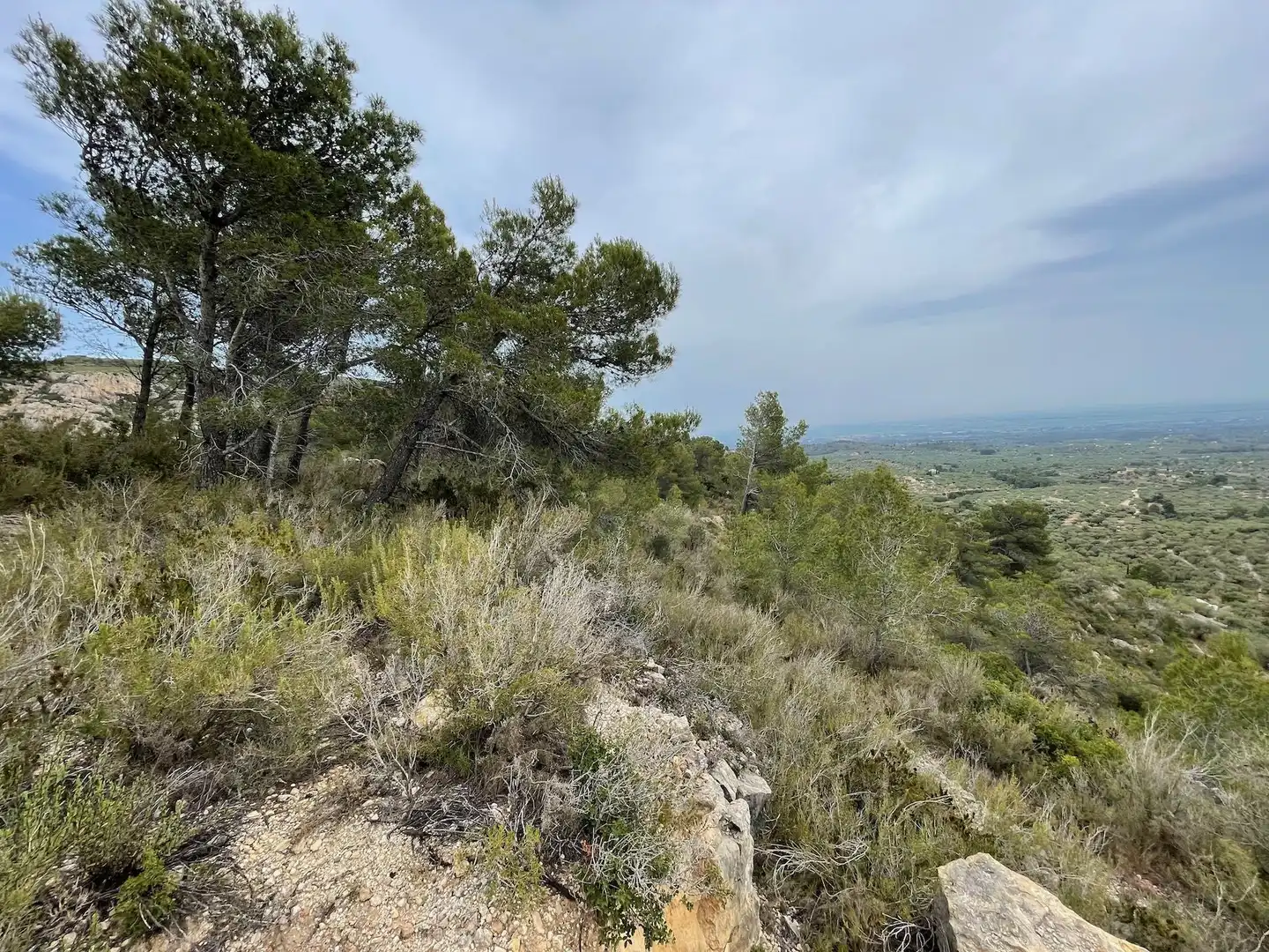 Residencial en venda en Tortosa