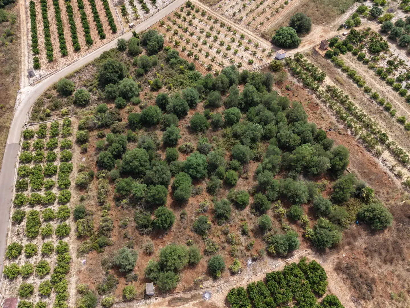 Rural land for sale in Carrer Castell 29