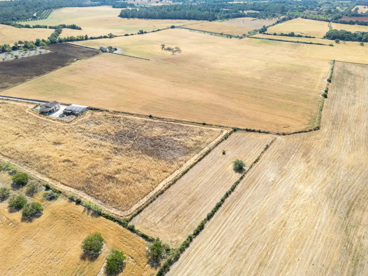 Rustikales Grundstück zum Verkauf in Porreres, imagen 19