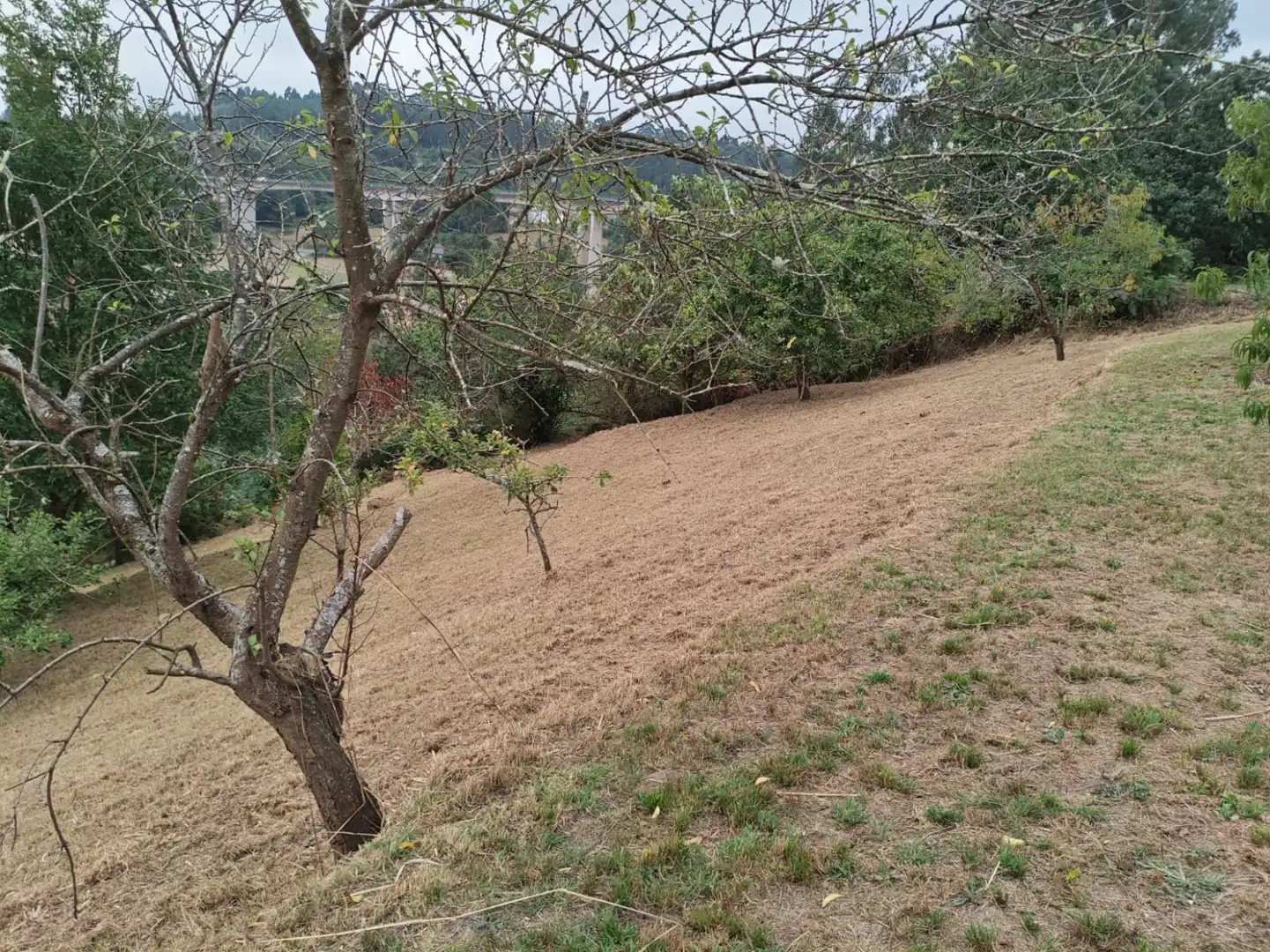 Houses for sale in Castrillón