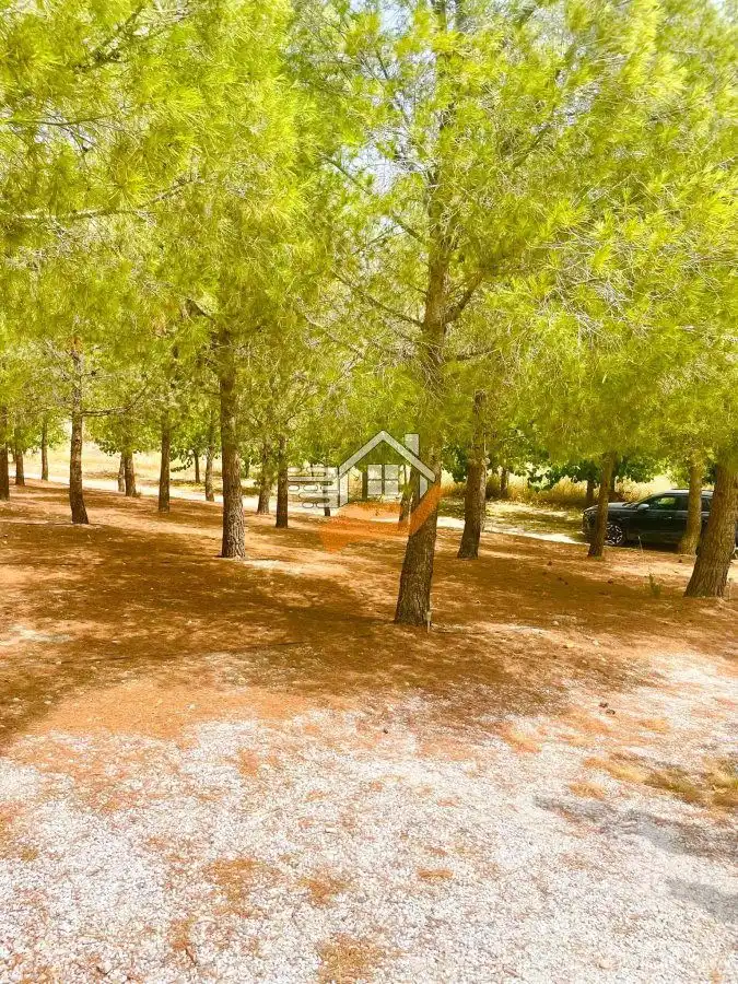 Vista exterior de Finca rústica en venda en Vélez-Blanco amb Balcó