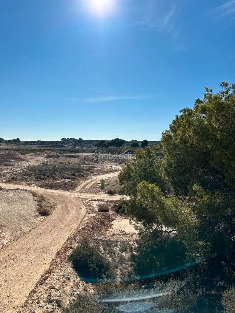 Terrain rustique à vendre à Camino de Catral 31, imagen 5