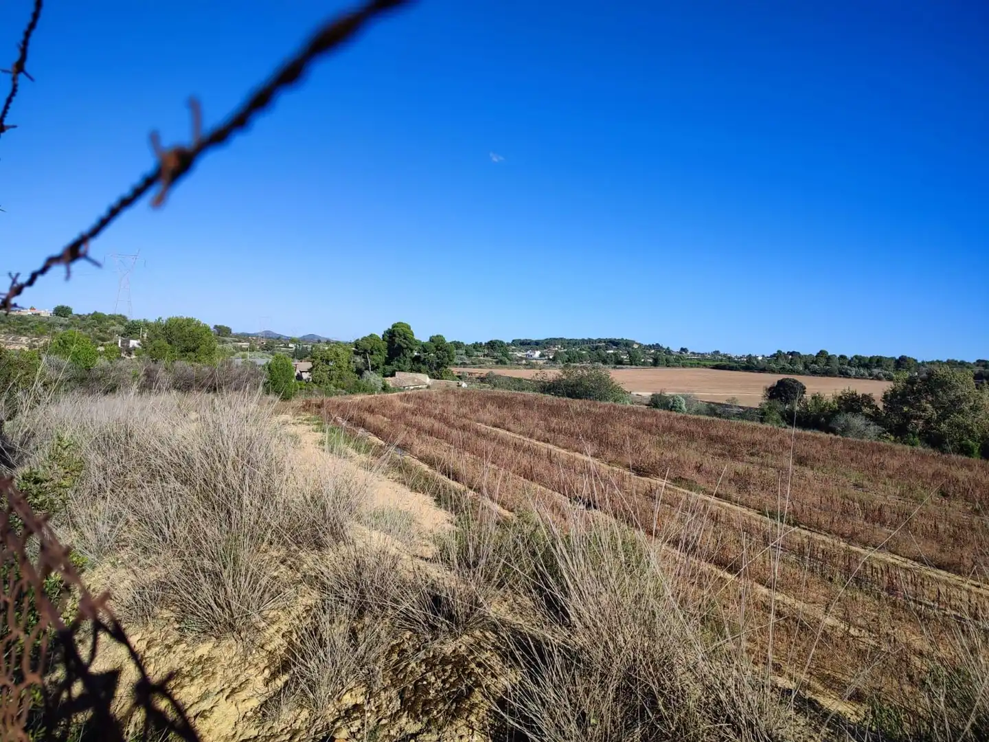Rural land to rent in Los Felipes - Corral de Carmelo, imagen 4