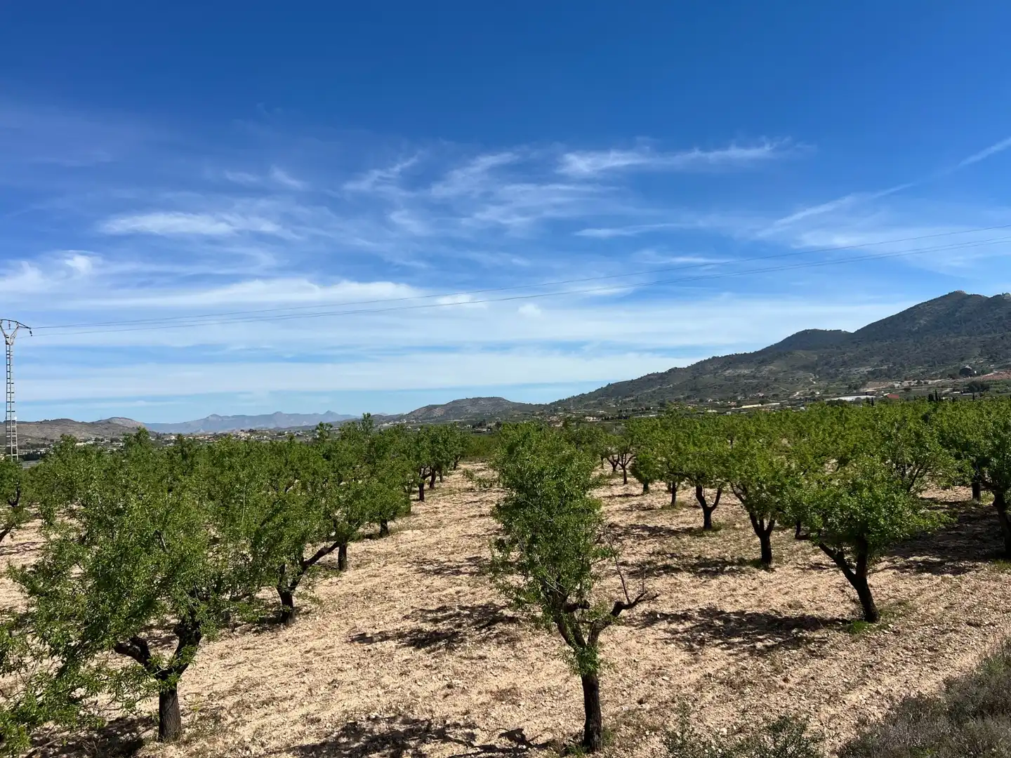 Residential land for sale in Hondón de los Frailes, imagen 2