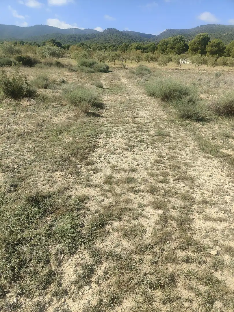 Residential land for sale in Tibi, imagen 2