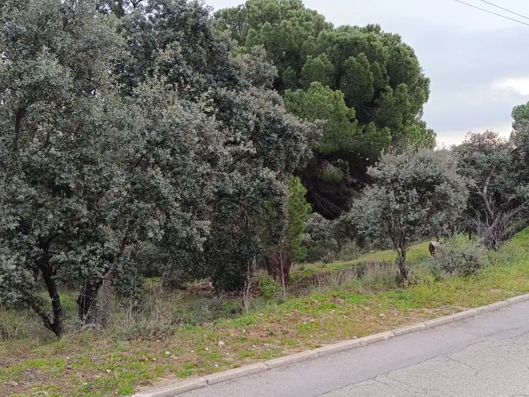 Residencial en venda en Villa del Prado, Madrid
