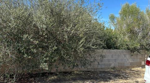 Foto 4 de Residencial en venta en S'Estanyol, Illes Balears